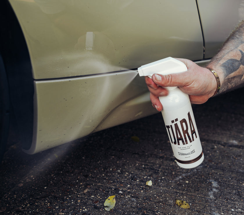 Wheels Detailing Kit- Wheel Cleaning Spray and Brush, Tar Remover, Wheel Sealant, Tyre Dressing