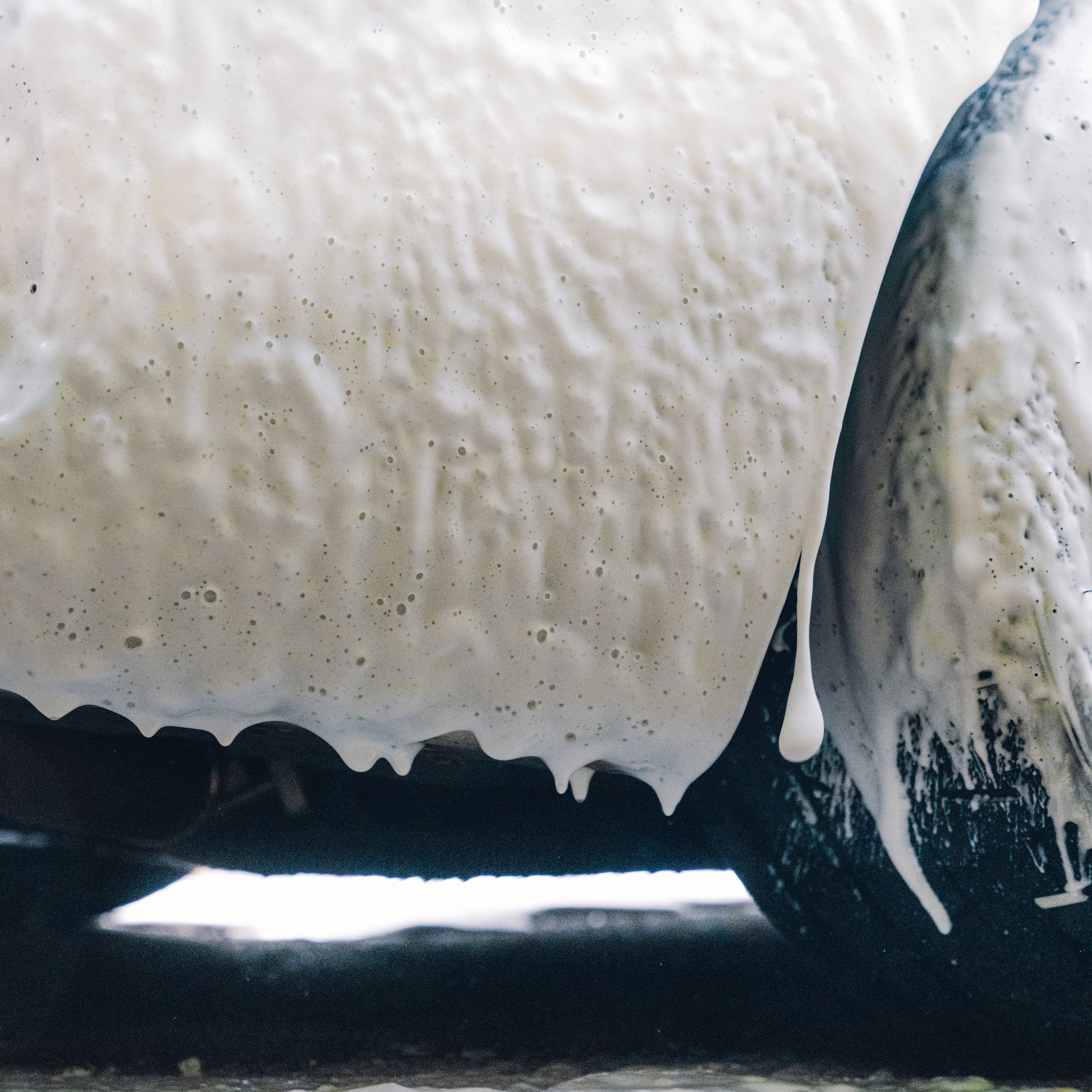 Snö X lntensive Snow Foam Pre-Wash